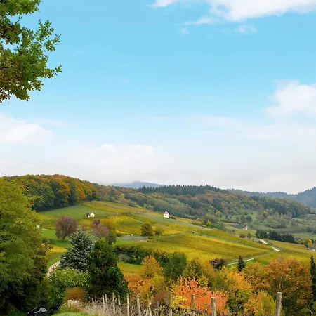 Zur Alten Dame Holiday home *