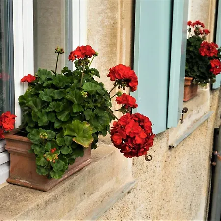 Zur Alten Dame Holiday home