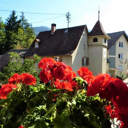 Zur Alten Dame Holiday home *