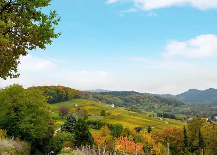 Zur Alten Dame Dom wakacyjny *